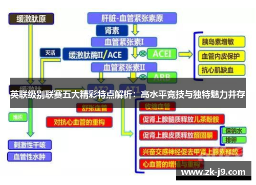 英联级别联赛五大精彩特点解析:高水平竞技与独特魅力并存 英联级别联赛五大精彩特点解析:高水平竞技与独特魅力并存